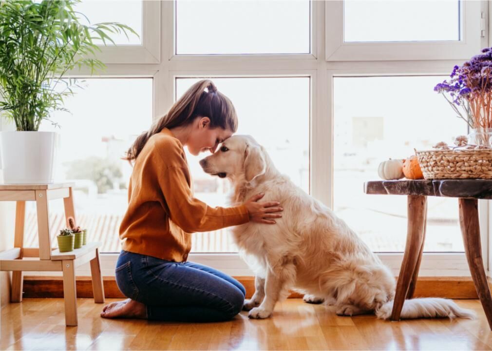 #6. Pet insurance